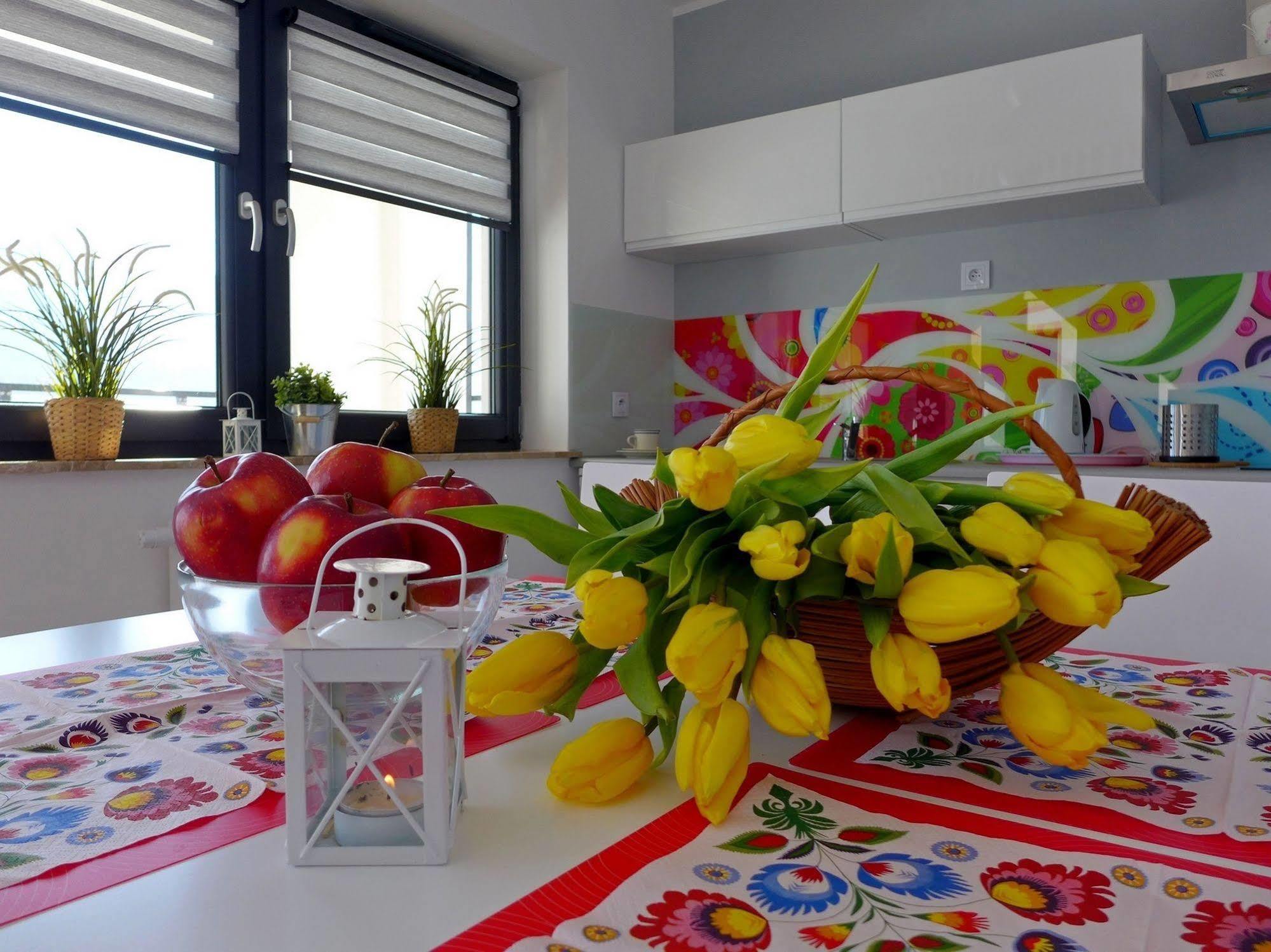 שצ'צ'ירק Apartamenty Zloty Widok מראה חיצוני תמונה